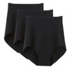 Gunze Kireilabo KL2070 Women’s Briefs, Completely Seamless, Cotton Blend