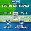 Adios! Professional Blue Spray Dye Marker, (32oz), Indicator for Grass