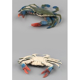 Cat Kamiyama, Green Crab, Crab, Sea Life Figure, Miniature Figurine, Interior Collector, Model