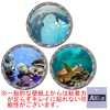 akindou 3D Wall Stickers Dolphins Sea Turtle Tropical Fish Wallpaper