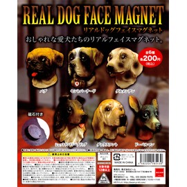 Real Dog Face Magnet riarudoggufeisumagunetto All 6 Species Set gatyagatya