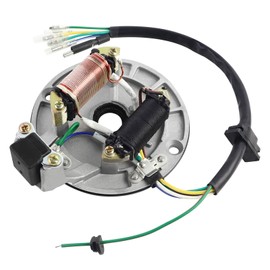 FLYPIG 2 Coil Ignition Magneto Stator for 50cc 70cc 90cc 110cc 125cc Taotao Dirt Bike ATV quad