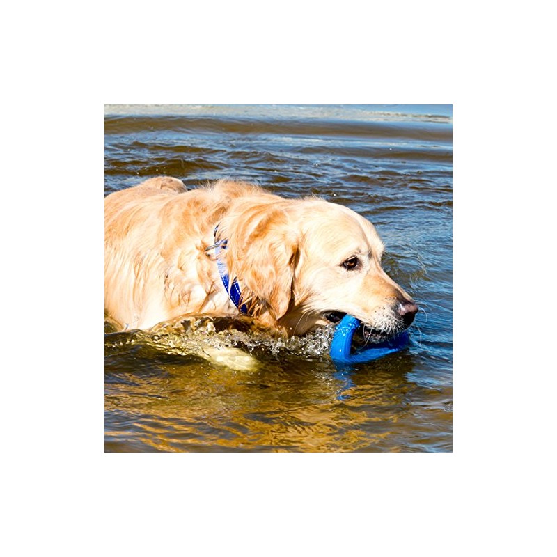 Rogz PU04-B Pop Upz Ring Large Blue