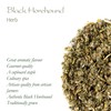 Black Horehound Herb Tea - Hore Hound Ballota Nigra Leaves