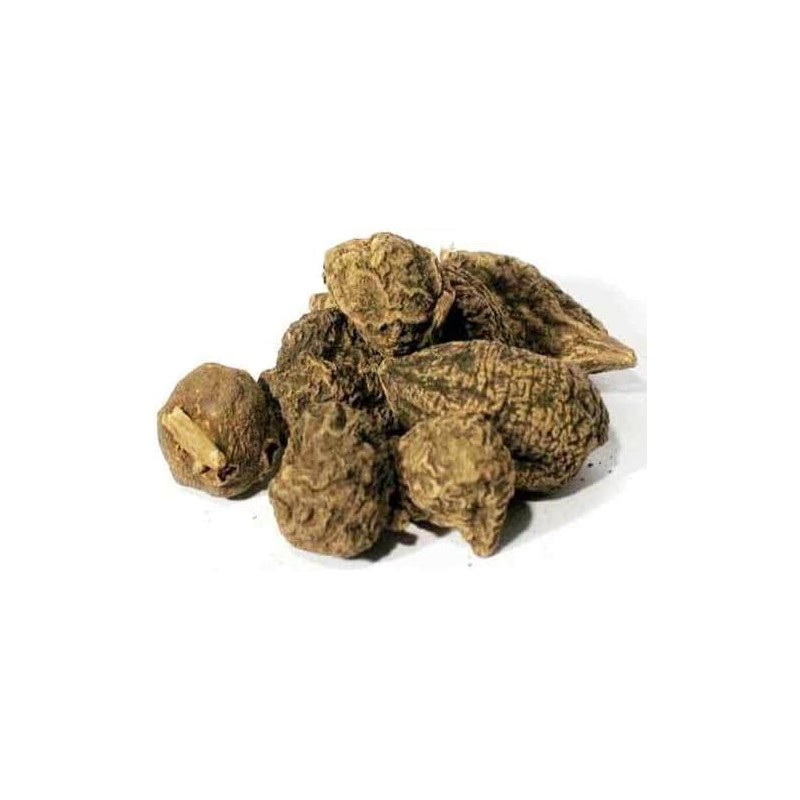EcoVista High John root | High John The Conqueror Root