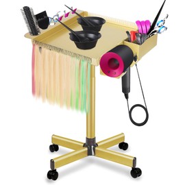 Multi-Function Salon Tray with Holder,Extension Hair Tray,Magnetic Metal Salon Trolley with Storage Platform and Hair Separator Stand,Gold