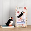 The Crafty Kit Company Atlantic Puffin Needle Felting Craft Kit