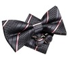 Hi-Tie Pretied Bow Ties for Men Wedding Formal Bow Tie