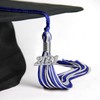 Endea Graduation Mixed Double Color Tassel with Silver Date Drop