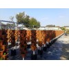 Mr. Stacky 18 inch Large Stackable Planters (Terra-Cotta) Out Door
