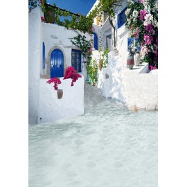 Laeacco 5x7ft Greece Backdrop Romantic Santorini Wedding Photo Backdrop Aegean Sea Greek Architecture White Stone House Flowers Momma Mia Theme Birthday Party Background Family Party Photo Studio Prop