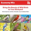 Unbranded Economy Mix Wild Bird Feed, Value Bird Seed Blend,