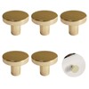 DALAETUS 5 Pcs Brass Round Cabinet Knobs, Single Hole Cupboard
