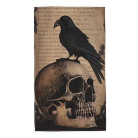 WUJINGQP Edgar Allan Poe The Raven Skull Hand Towels 27.5x16in, Wash Cloths Soft Towel for Home Hotel Gym Laundry Room Bathroom