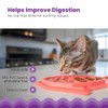 Petstages Fishie Fun Feed Mat - Comedero Lento para Gatos