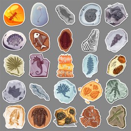 AUCEKO 50PCS Vintage Fossil Crystal Stickers, Vinyl Stickers for Laptop, Water Bottle, Skateboard, Luggage, Bicycle, Car, Guitar, Clear/Transparent, Glossy, Waterproof
