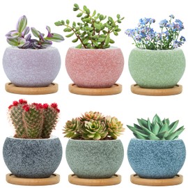 Thriving Thicket 3 inch Ceramic pots for Plants, Small Succulent Pots Set with Drainage, 6 Pack Flower Pot for Indoor Plant, Decorative Planters for Little or Mini Cactus