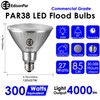 EdisonPar Full-Glass PAR38 LED Flood Light Bulbs Outdoor/Indoor Equivalent 300