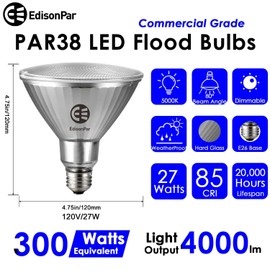 EdisonPar Full-Glass PAR38 LED Flood Light Bulbs Outdoor/Indoor Equivalent 300 Watt, 4000 Lumens Ultra Bright, Dimmable Waterproof 5000K Daylight, 2-Pack