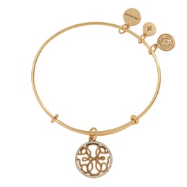 Alex and Ani Path of Life Charm Bangle, Bangle Bracelet, Shiny Gold Finish, 2 to 3.5in