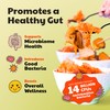 Olive My Pickle Fermented Kimchi Variety Pack - 48 oz