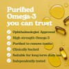 Eyetamins OmegaEye Advanced High-Strength Omega-3 with DHA & EPA for