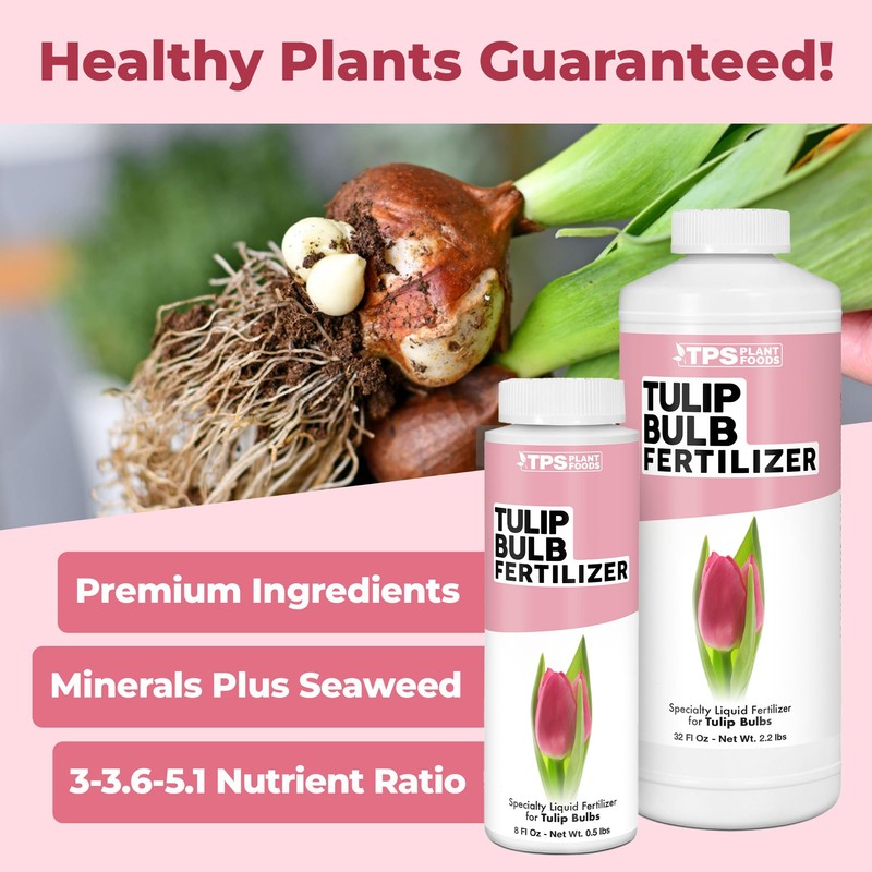Tulip Bulb Fertilizer, Complete Liquid Tulip Bulb Plant Food, 8