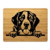 Bambus Schneidebrett Frühstücksbrettchen 15x20cm Hund Berner Sennenhund 01