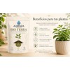 Aurenza Bio Terra Sustrato Enriquecido Humus 500 Favorece Desarrollo Saludable