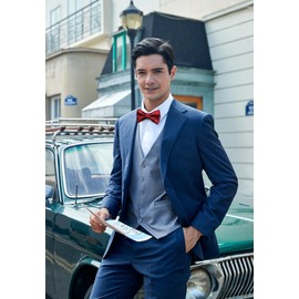 HISDERN Mens Red Bow Tie Floral Paisley Self Classic Formal Tuxedo Satin Woven Silk Bowtie for Wedding Party