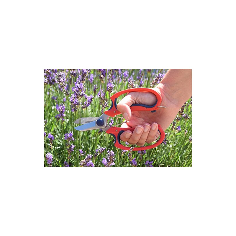 Spear & Jackson 4252GSSF Razorsharp Comfort Garden Scissors