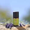 Primavera Life Organic Lavender Fine Organic 5 ml 4086900100428