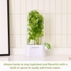 Prepara Herb Savor Eco, White/Green