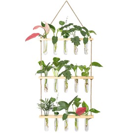 XXXFLOWER Wall Hanging Propagation Station with Wooden Stand 5 Glass Test Tubes 3 Tiers Planters Wall Terrarium for Home Office Plant Hanger Flower Vases Wall Decor Hydroponic Cuttings