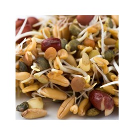 Organic Ancient Eastern Blend (Mélange Ancient de L'Orient), Mumm's Sprouting Seeds, Large Size - 250 Grams, Non-GMO - Produced in Canada - Blend of Fenugreek, Lentils, Kamut & Adzuki (Mélange de Fenugrec, Lentilles, Kamut et Adzuki) - High Germination R