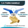 (Pack of 8) Seelink 1/2 Inch PEX x 1/2 Inch