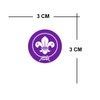 Set of 4 x Scouts Iron on Screen Print Transfer