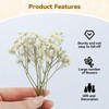 ForestM 100PCS Dried Pressed Flowers,Natural Baby Breath Dried,Dry Flowers