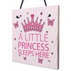RED OCEAN Princess Sleeps Hanging Wall Door Plaque Nursery Bedroom