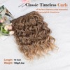 Bouncy Curly Hair Extensions, 4PCS Synthetic Clip in Hair Extensions