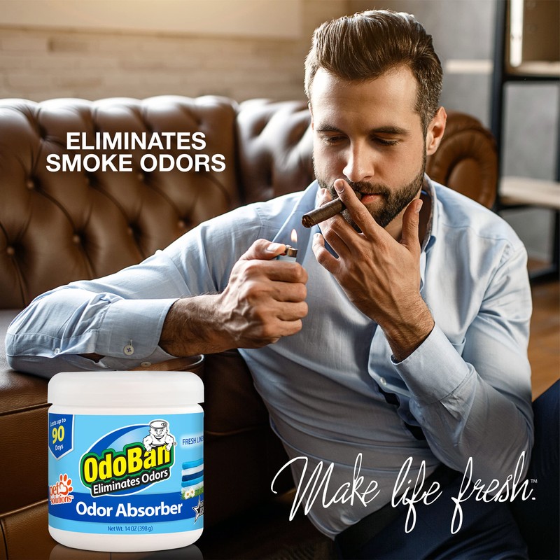 OdoBan Solid Odor Absorber Eliminator for Home and Small Spaces,