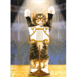 Kitty Konductor Cat Congratulations Card