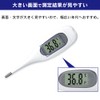 【高速測定】 アイリスオーヤマ(IRIS OHYAMA) 体温計 脇下体温計 DT-631 管理医療機器認証