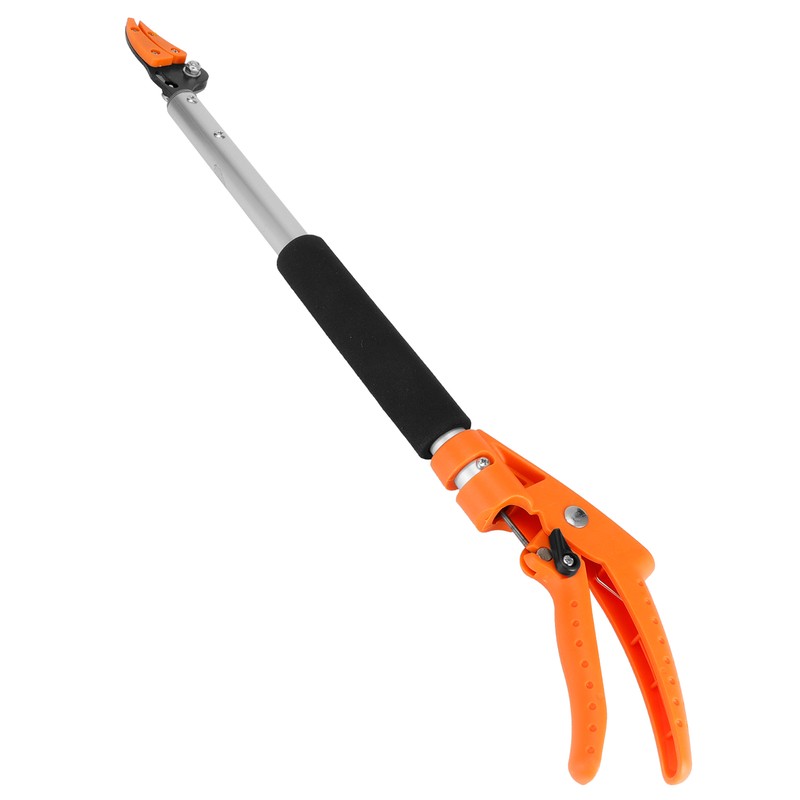 Fruit Picker Scissors Cutter for Grapes Peach Branch Pruning Shears