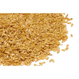 Sunshine Seeds BLUE FLAX SEEDS (100) Linum lewisii / ORGANIC / FLORIDA GROWN / WILDFLOWER HERB