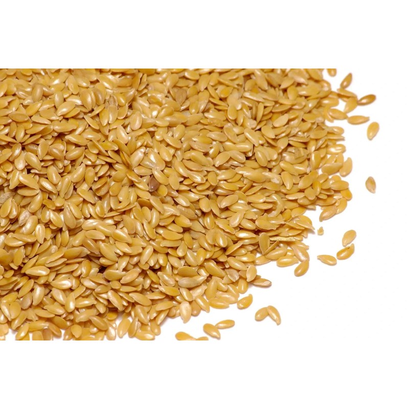 Sunshine Seeds BLUE FLAX SEEDS (100) Linum lewisii / ORGANIC