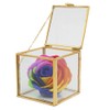 Gold Edge Geometric Glass Plant Planter Succulent Plants Container Home