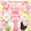 Chicken 1st Birthday Party Decoration The Chick Is One Birthday