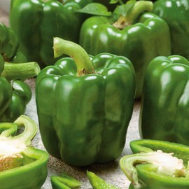 Sweet Pepper Seeds - Emerald Giant - Packet - Vegetable Seeds, Heirloom Seed, Open Pollinated Seed Easy to Grow & Maintain, Container Garden