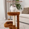 AGUPET 2-Tier Indoor Cat Tree Tower with Raised Cat Beds